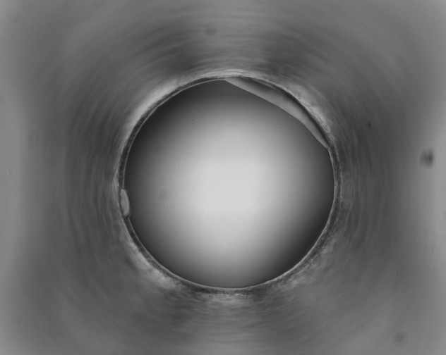 X0000090951189200708161750