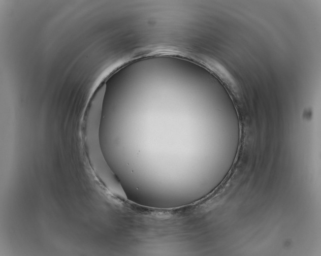 X0000090951190200708161750