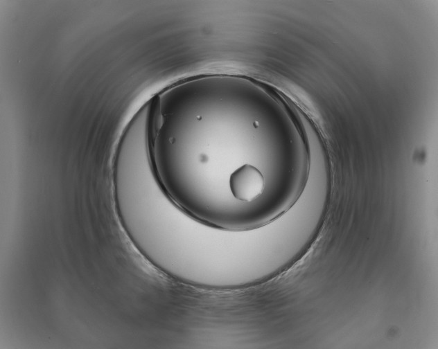 X0000090951192200708161750