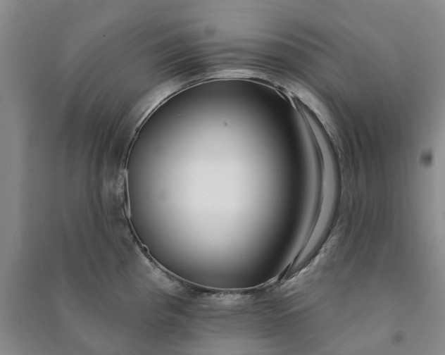 X0000090951193200708161750