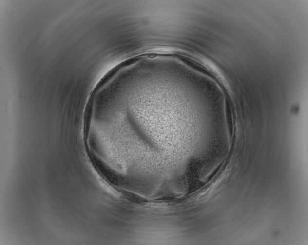 X0000090951194200708161750