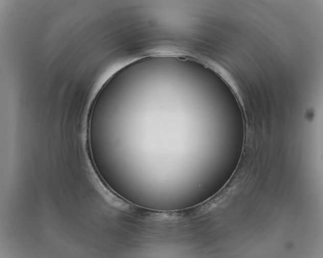 X0000090951195200708161750