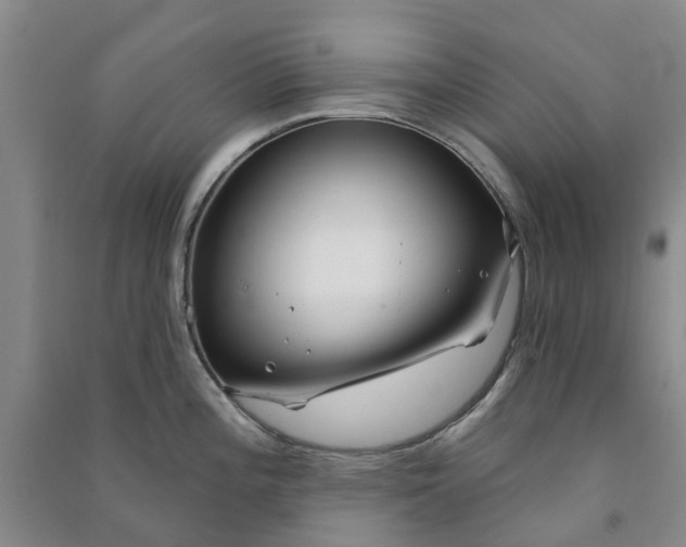 X0000090951196200708161750