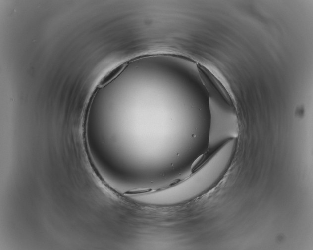 X0000090951197200708161750