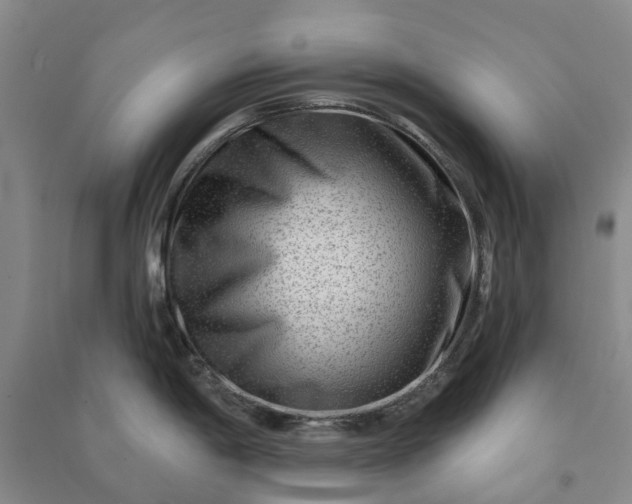 X0000090951198200708161750