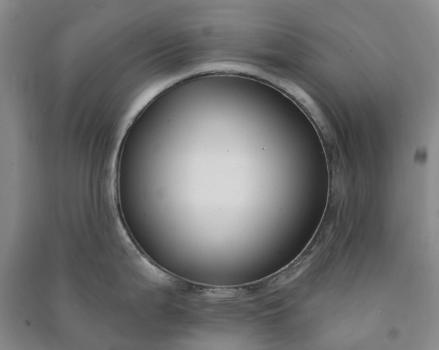 X0000090951199200708161750