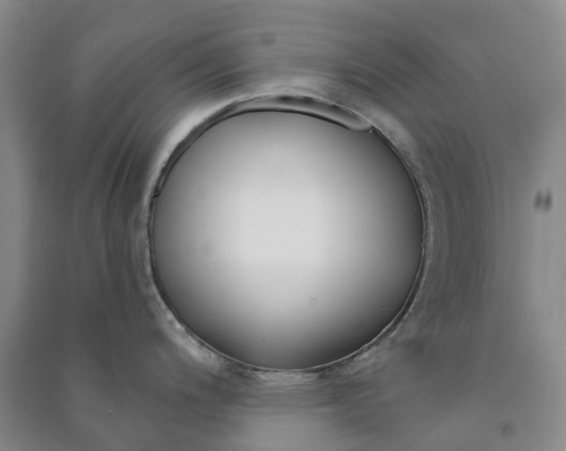 X0000090951200200708161750