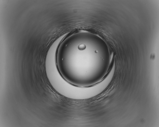 X0000090951202200708161749