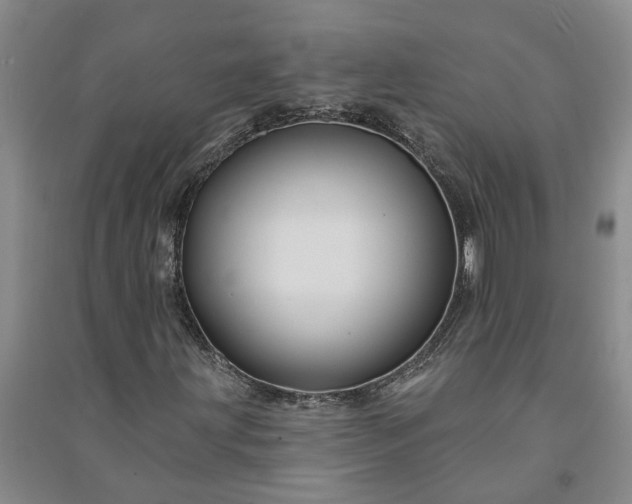 X0000090951203200708161749