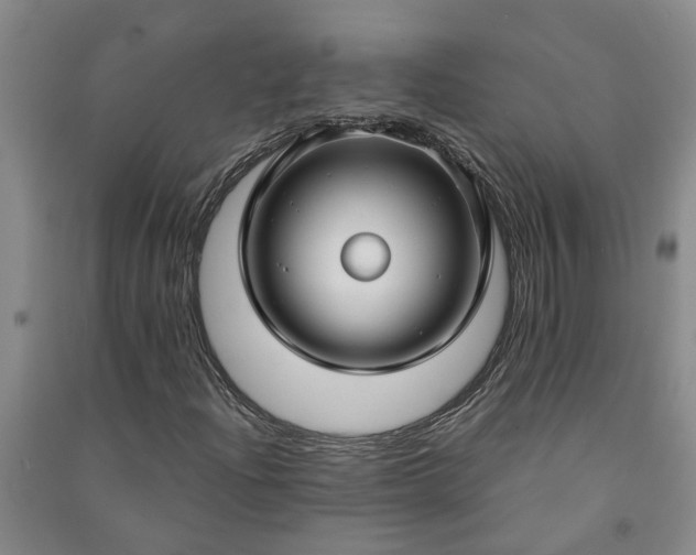 X0000090951204200708161749
