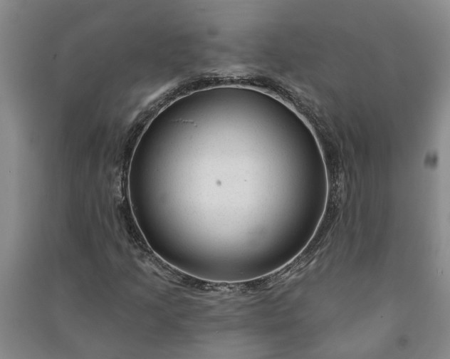 X0000090951205200708161749