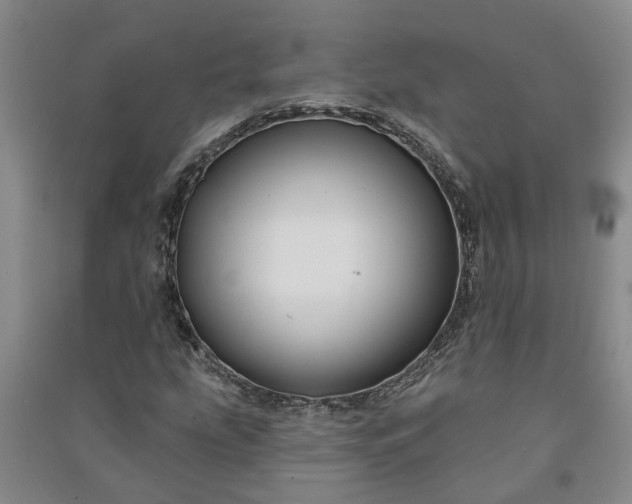 X0000090951207200708161749