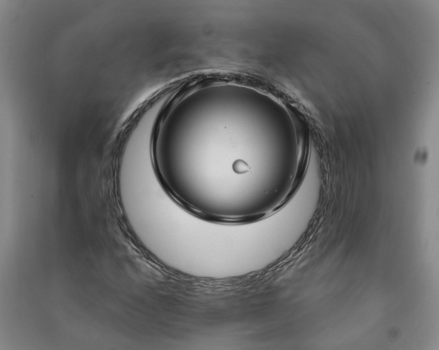 X0000090951208200708161749