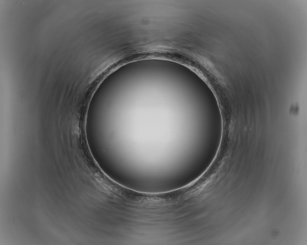 X0000090951209200708161749