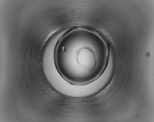 X0000090951210200708161749