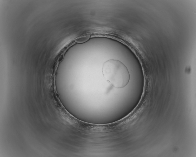 X0000090951211200708161749