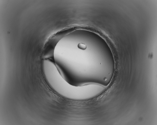 X0000090951214200708161749