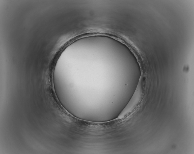 X0000090951215200708161749