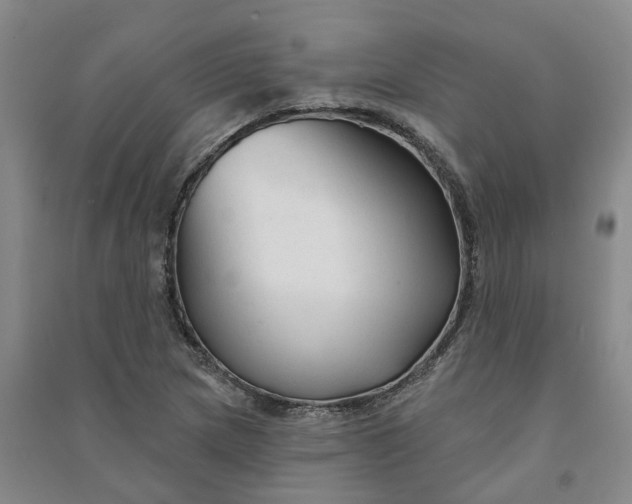 X0000090951217200708161749