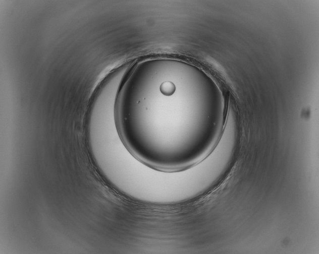 X0000090951218200708161749