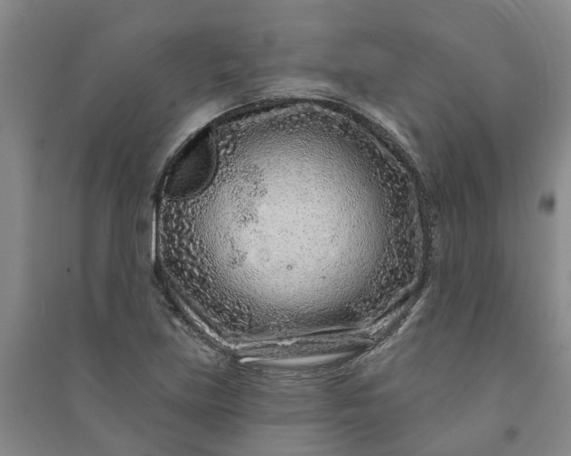 X0000090951219200708161749