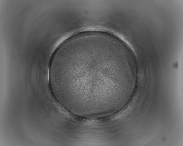 X0000090951221200708161749