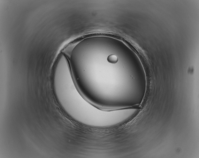 X0000090951222200708161749