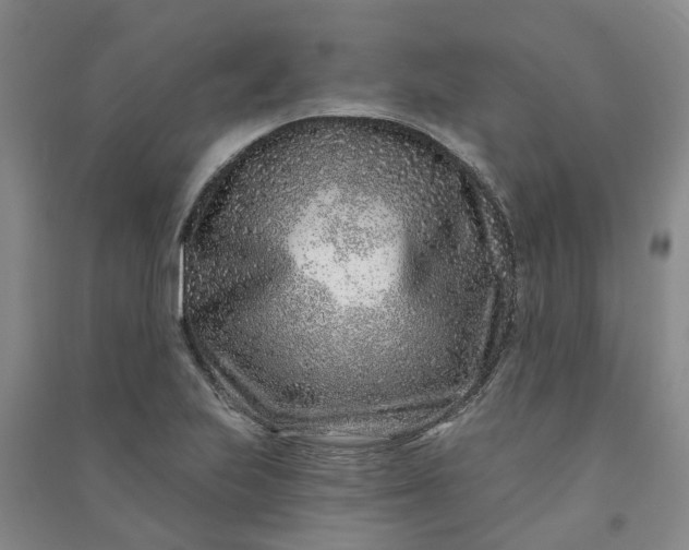 X0000090951223200708161749