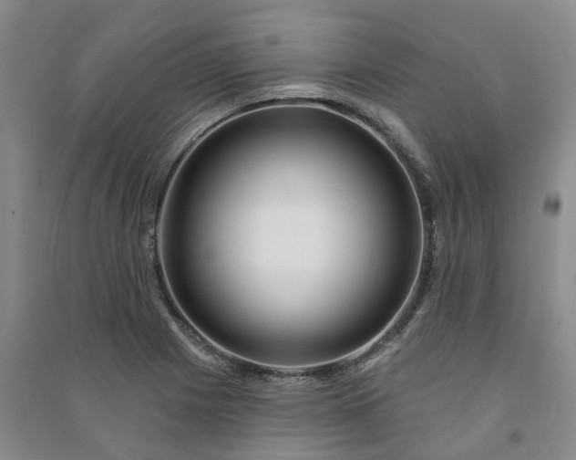 X0000090951225200708161749