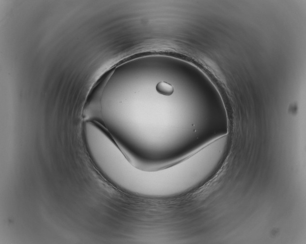 X0000090951226200708161749
