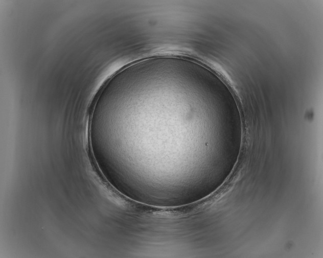 X0000090951227200708161749