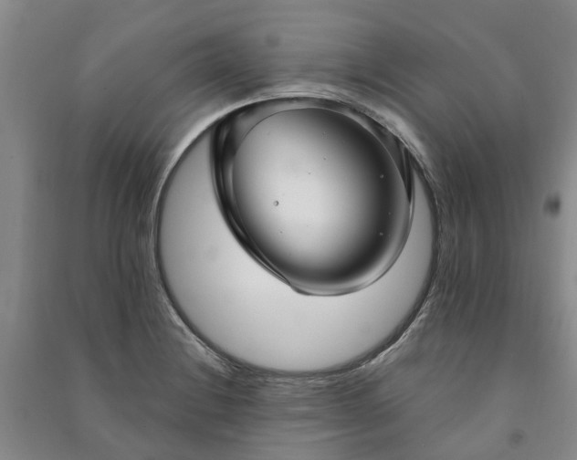 X0000090951228200708161749