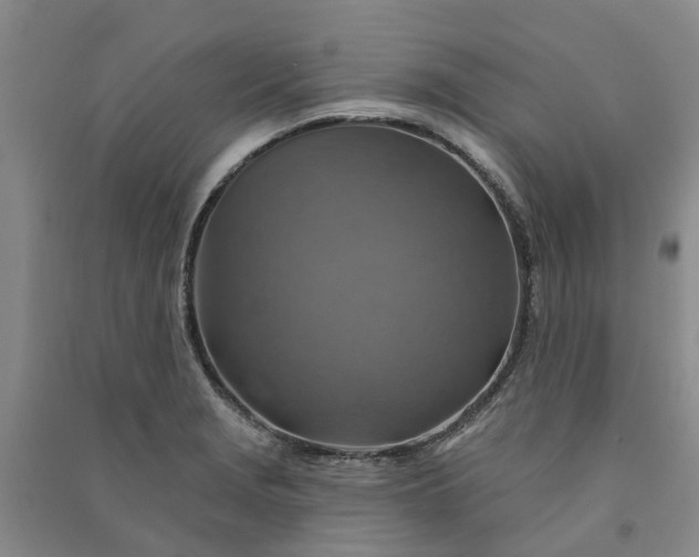 X0000090951229200708161749