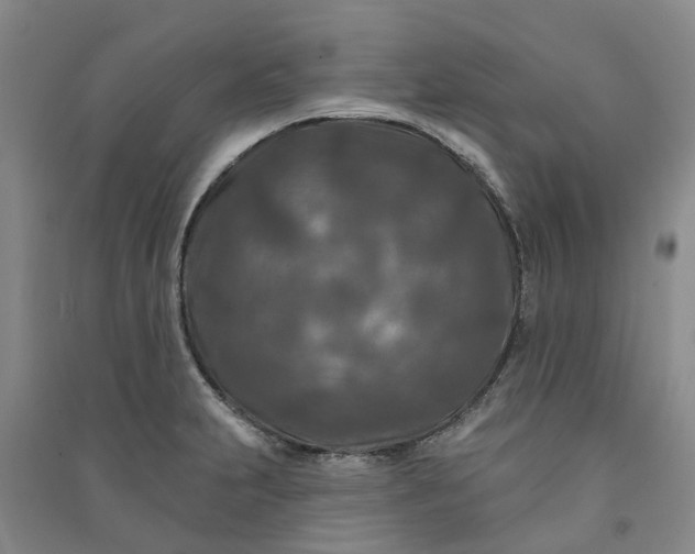 X0000090951231200708161749