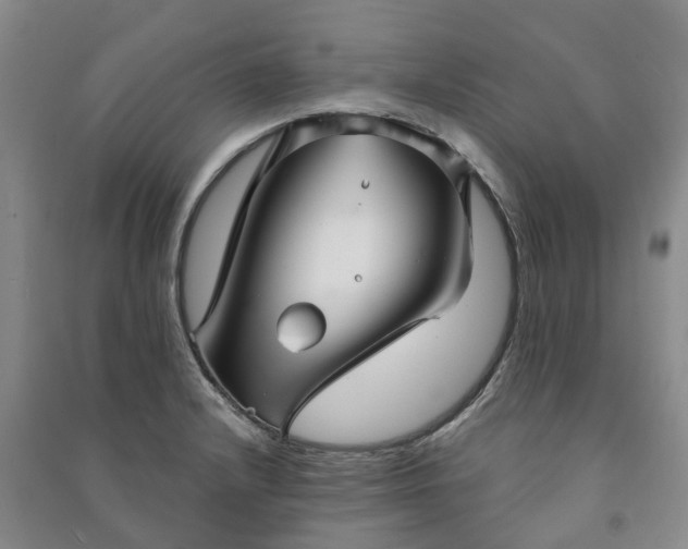 X0000090951232200708161749