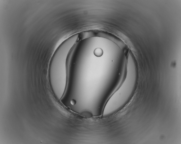 X0000090951234200708161749