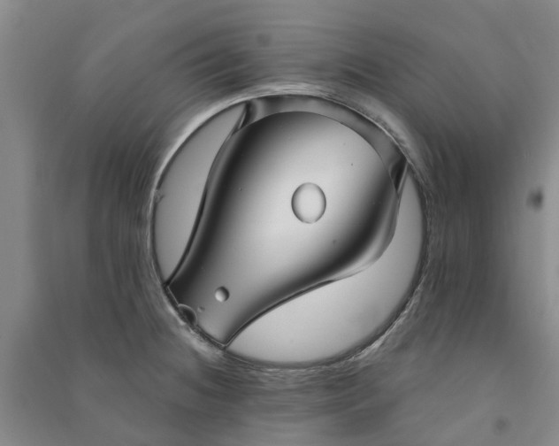 X0000090951236200708161750