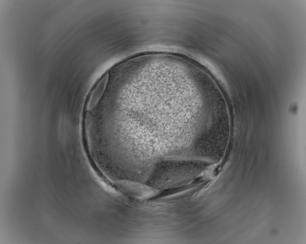 X0000090951237200708161750