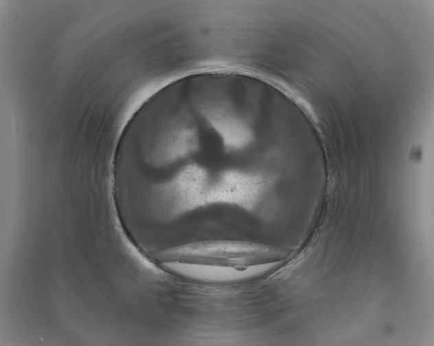 X0000090951239200708161750