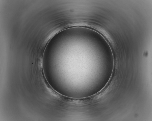 X0000090951241200708161750