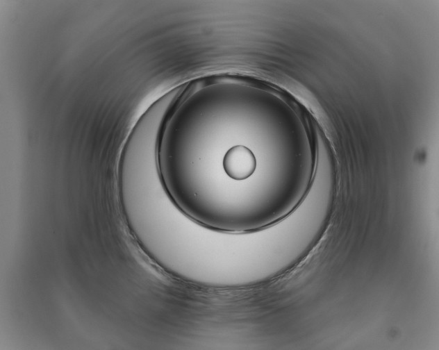 X0000090951242200708161750