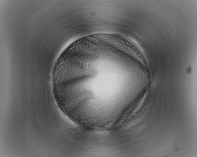 X0000090951243200708161750