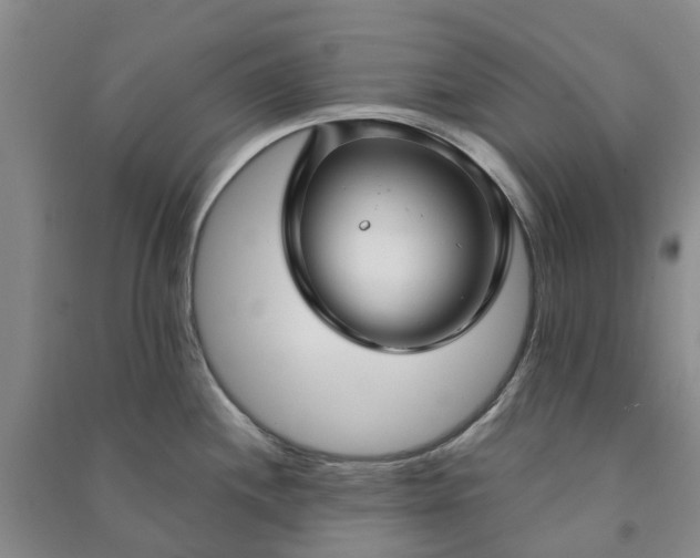 X0000090951244200708161750
