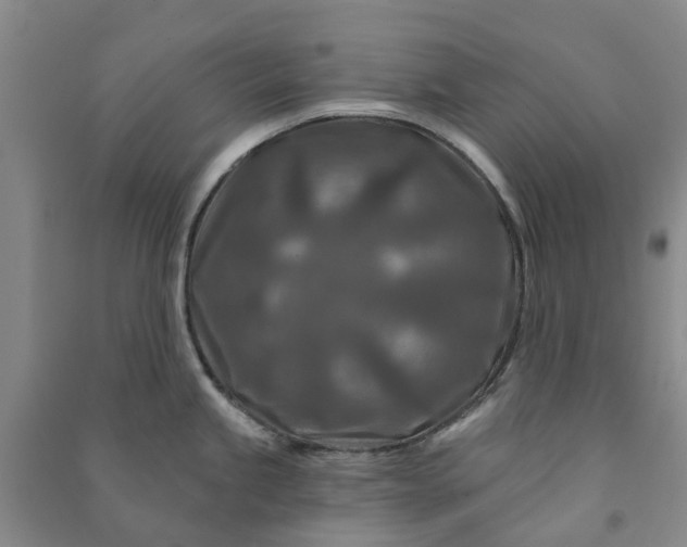 X0000090951245200708161750