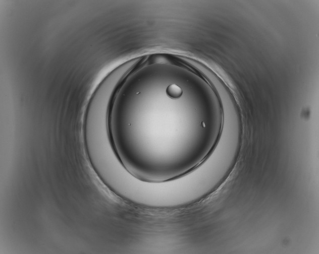 X0000090951246200708161750
