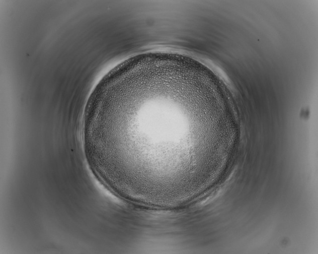 X0000090951247200708161750