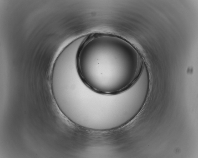 X0000090951248200708161750
