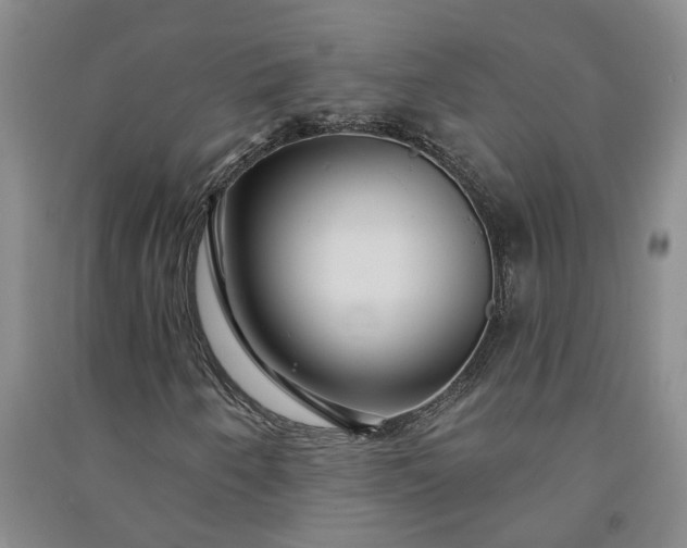X0000090951250200708161749