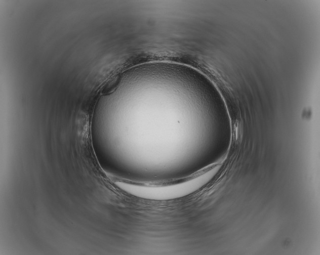X0000090951251200708161749