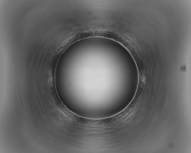 X0000090951252200708161749